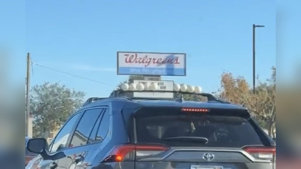 What Does a Blue Pickleball on Your Car Mean