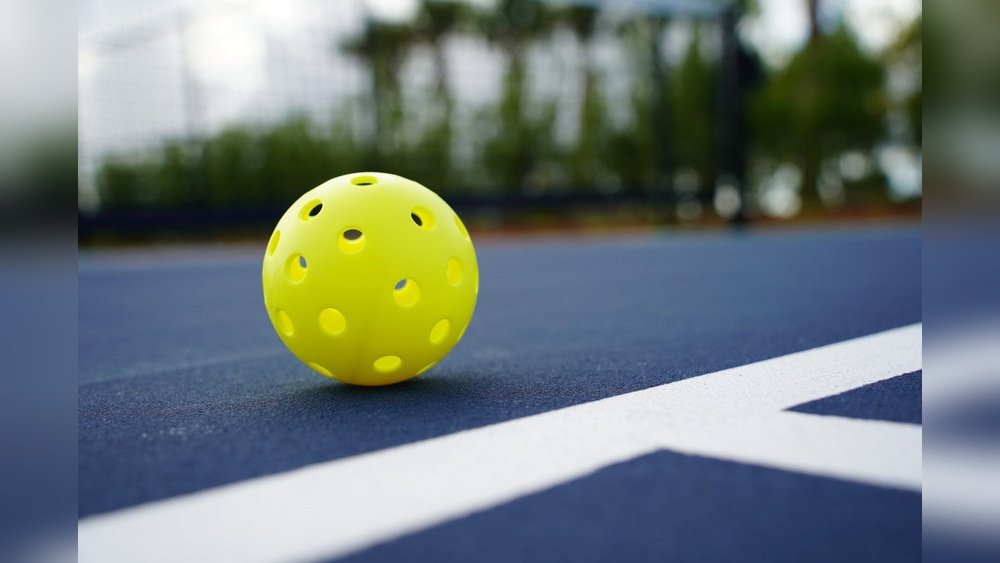 What Does a Pickle Ball Look Like