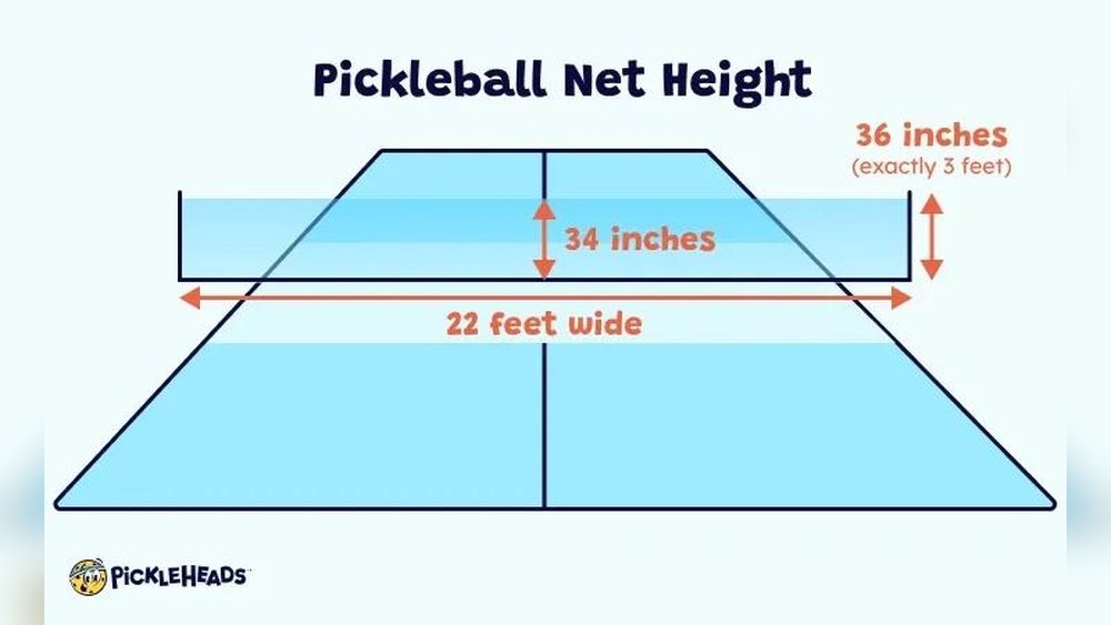 What is the Height of a Pickleball Net