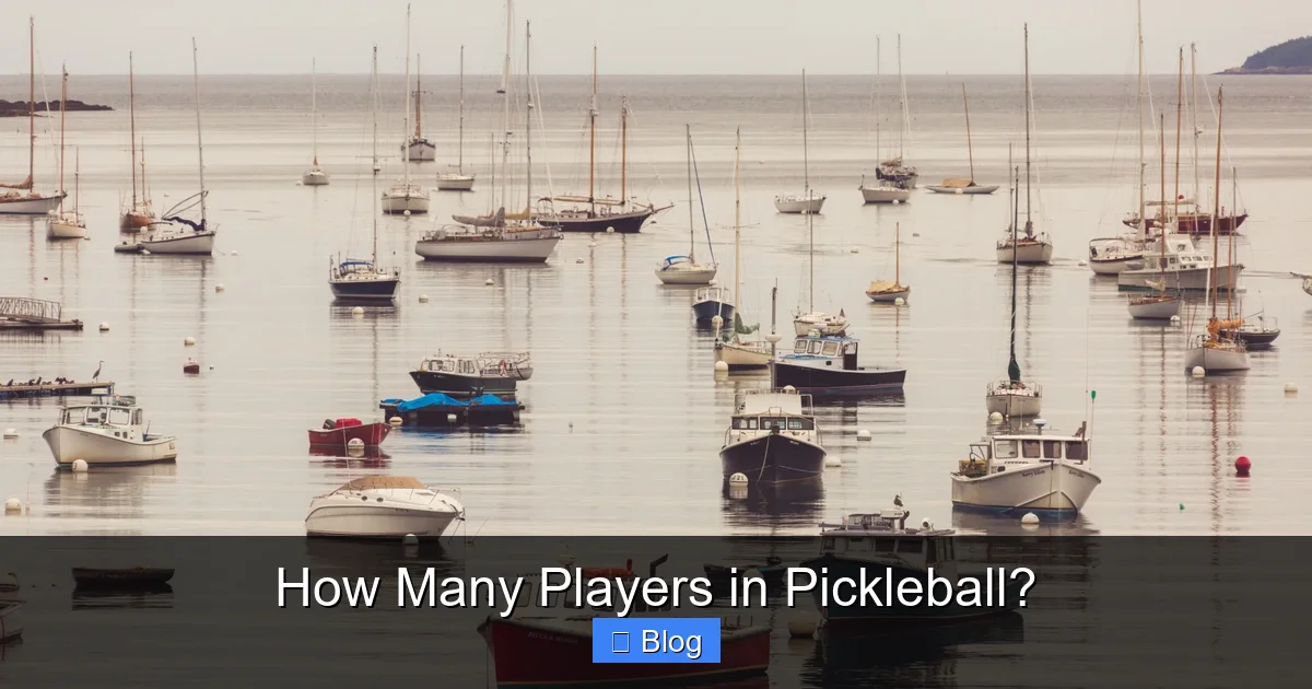 How Many Players in Pickleball?