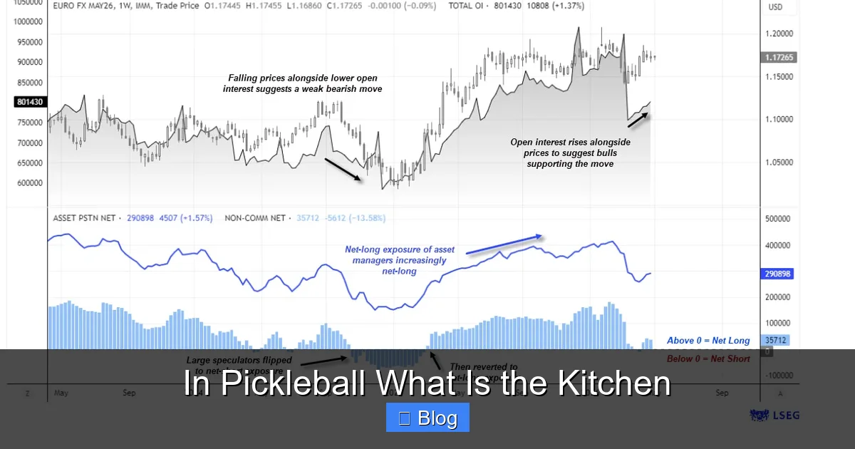 In Pickleball What Is the Kitchen