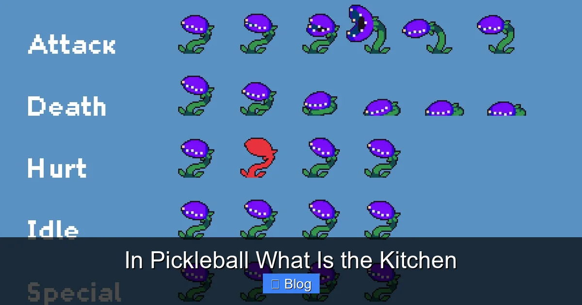 In Pickleball What Is the Kitchen