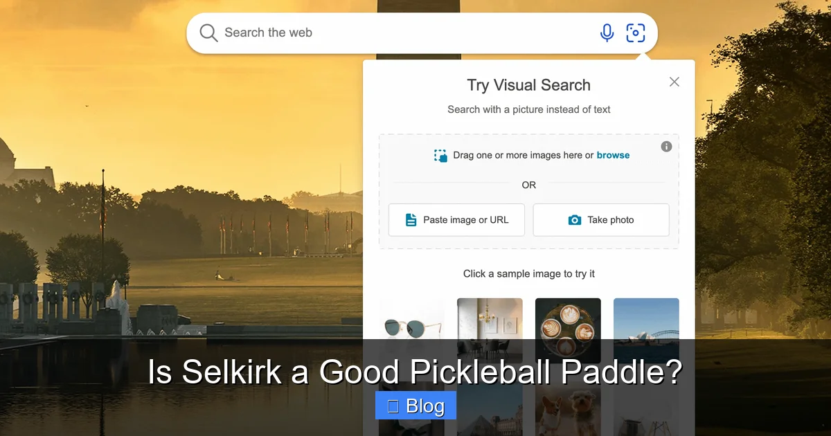Is Selkirk a Good Pickleball Paddle?