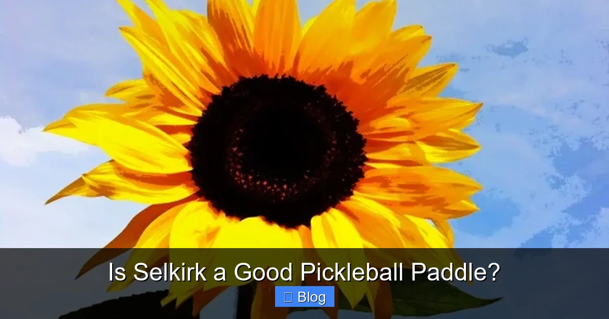 Is Selkirk a Good Pickleball Paddle?