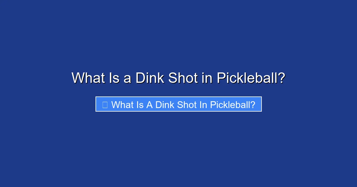 What Is a Dink Shot in Pickleball?