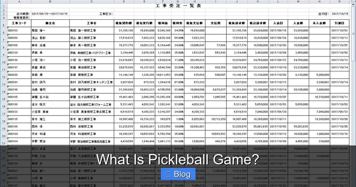 What Is Pickleball Game?