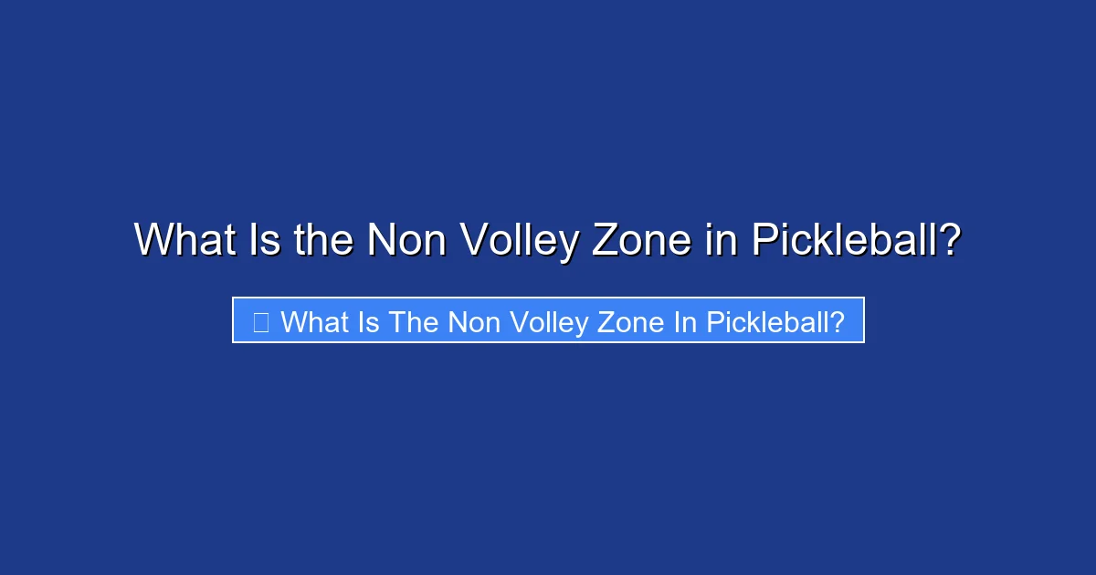 What Is the Non Volley Zone in Pickleball?